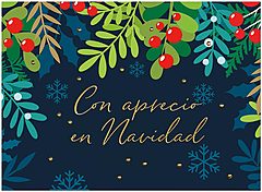 Spanish Appreciation H3353U-AA